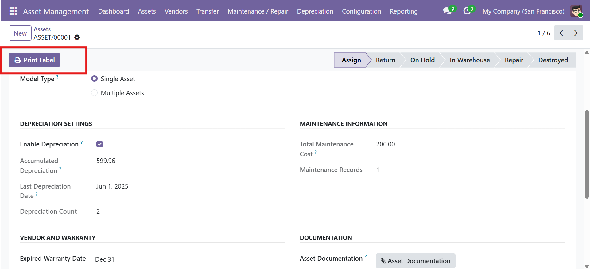 Asset form showing depreciation settings, maintenance information, and documentation section