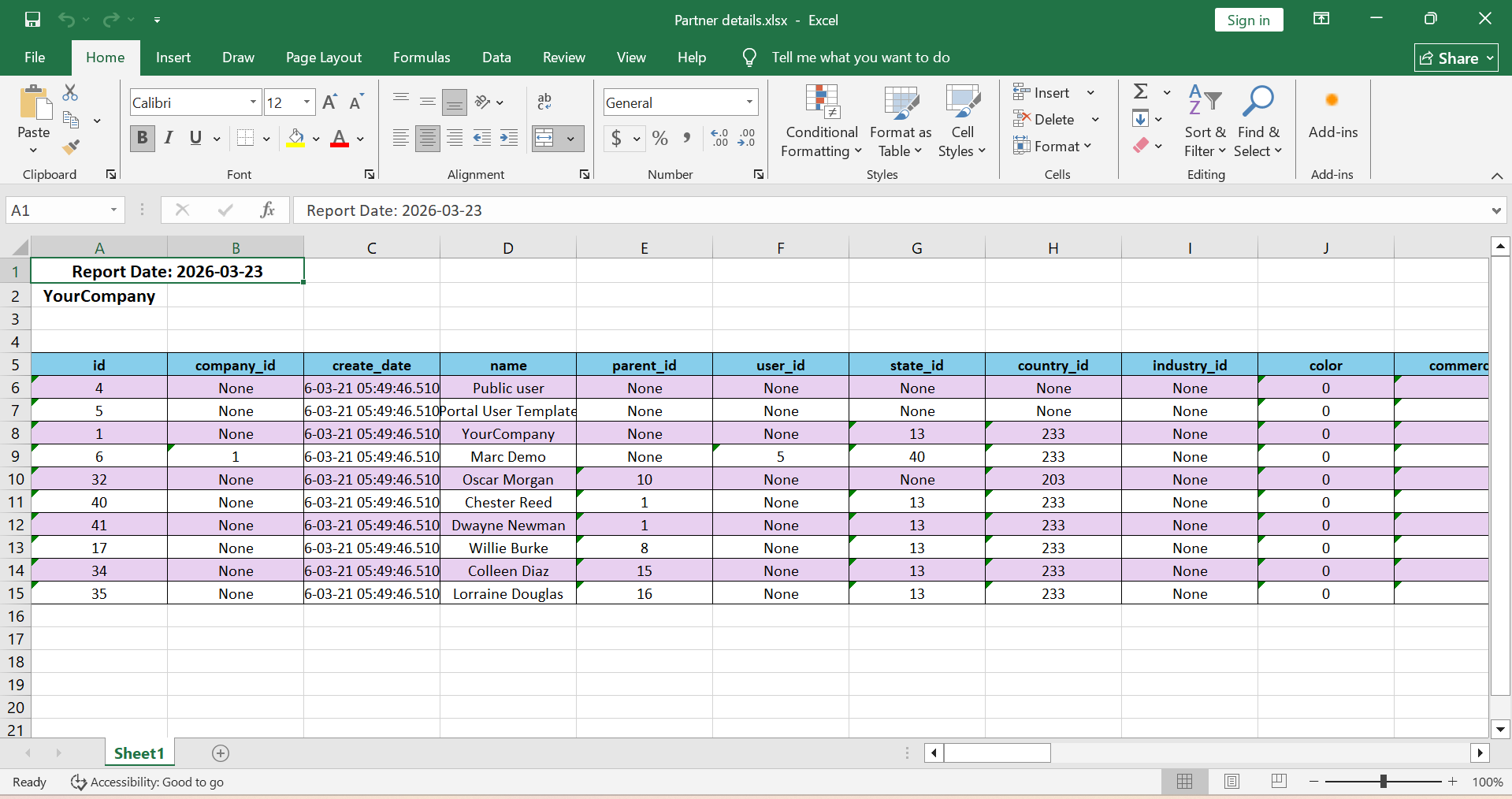 Excel Output Example