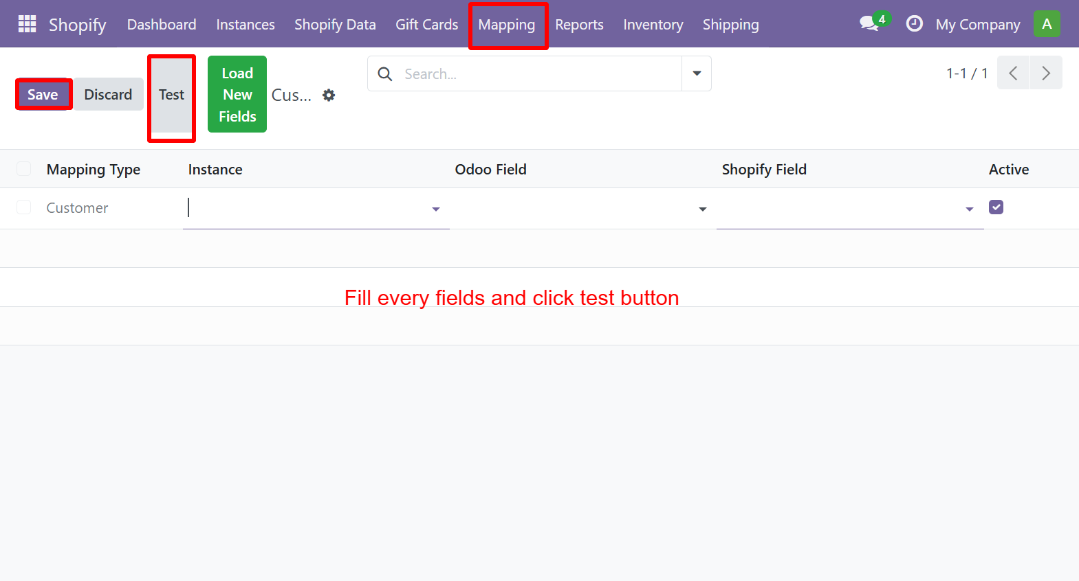 Customer Mapping form - fill fields and click Test